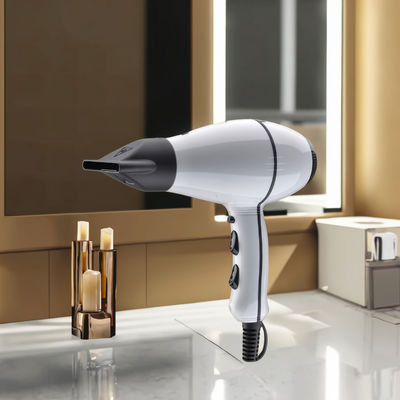 Máy sấy tóc động cơ AC chuyên nghiệp với 1800W/2000W điện năng 2 tốc độ và 3 điều khiển nhiệt độ cho salon và sử dụng tại nhà