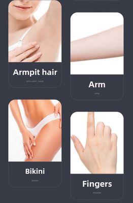 Máy cạo lông điện USB có pin 600mAh và thời gian chạy 90 phút Blades Stainless Steel Personal Groomer